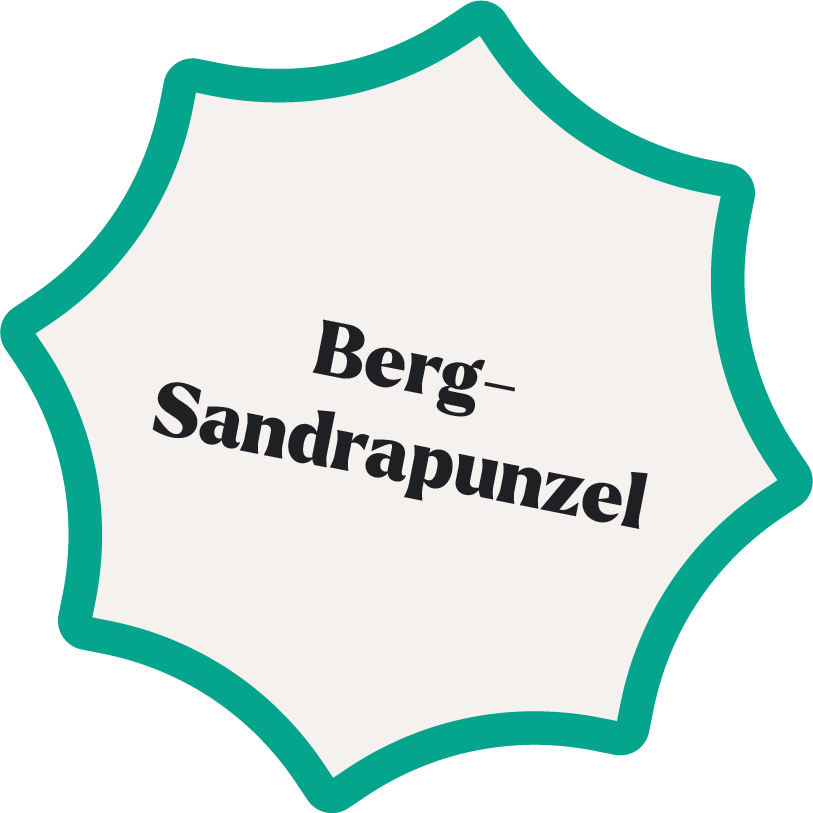 Die Berg-Sandrapunzel