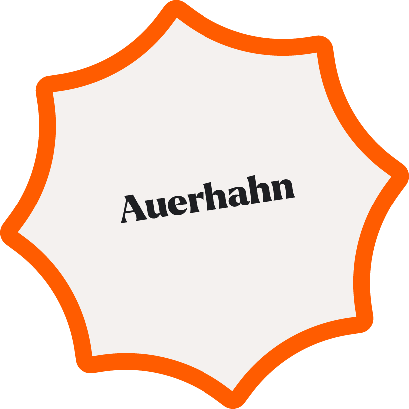 Der Auerhahn