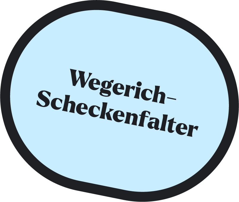 Der Wegerich-Scheckenfalter